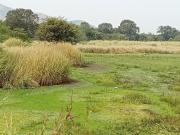 Residential Plot in Panvel for resale Navi Mumbai. The...