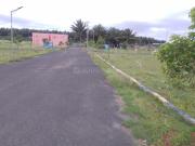 Residential Plot in Pappampatti for resale Coimbatore....