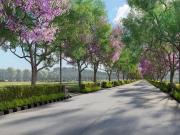 Residential Plot in Parappana Agrahara for resale South...