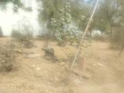 Residential Plot in Parsvnath City for resale Jodhpur....