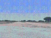 Residential Plot in Patancheru for resale West...