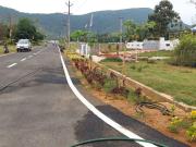 Residential Plot in Pedagantyada for resale...