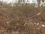 Residential Plot in Peeramcheru for resale West...