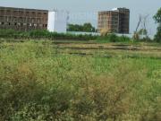 Residential Plot in Phulwari Sharif for resale Patna....