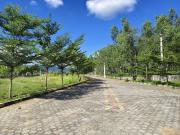 Residential Plot in Pineapple Colony for resale...