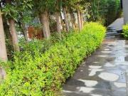Residential Plot in Pipan for resale Ahmedabad. The...