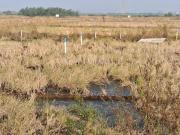 Residential Plot in Pirkon for resale Navi Mumbai. The...