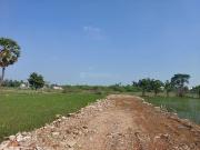 Residential Plot in Ponmar for resale Chennai. The...