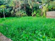 Residential Plot in Punkunnam for resale Thrissur. The...