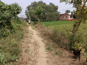 Residential Plot in Punpun for resale Patna. The...
