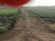 Residential Plot in Punpun for resale Patna. The...