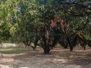 Residential Plot in Purseni for resale Lucknow. The...