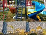 Residential Plot in Purshottampura at Dadiya for resale...