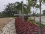 Residential Plot in Raipura for resale Raipur. The...