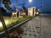 Residential Plot in Rajoda for resale Indore. The...