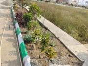 Residential Plot in Ramavarapadu for resale Vijayawada....