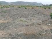 Residential Plot in Ranjanpada for resale Navi Mumbai....