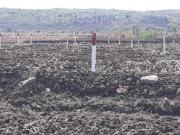 Residential Plot in Ranjanpada for resale Navi Mumbai....