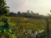 Residential Plot in Ranjanpada for resale Navi Mumbai....