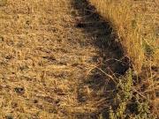 Residential Plot in Ranjanpada for resale Navi Mumbai....