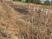 Residential Plot in Ranjanpada for resale Navi Mumbai....