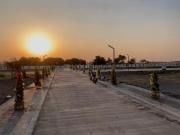 Residential Plot in Rau for resale AB Bypass Road. The...