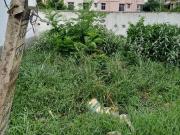 Residential Plot in Rukanpura for resale Patna. The...