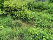 Residential Plot in Sama Savli for resale Vadodara. The...