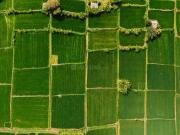 Residential Plot in Sanand for resale Ahmedabad. The...