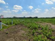 Residential Plot in Saravanampatty for resale...