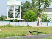Residential Plot in Saravanampatty for resale...