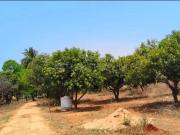 Residential Plot in Sarde for resale Navi Mumbai. The...