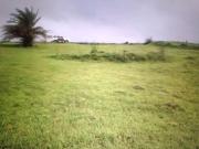 Residential Plot in Sarde for resale Navi Mumbai. The...