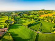 Residential Plot in Sarde for resale Navi Mumbai. The...