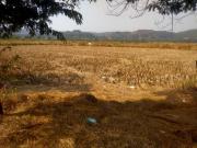 Residential Plot in Sarde for resale Navi Mumbai. The...