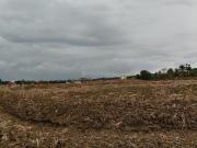 Residential Plot in Sarde for resale Navi Mumbai. The...