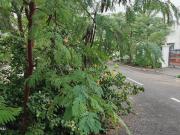 Residential Plot in Sea Breeze Farms for resale Chennai....