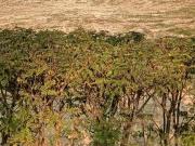 Residential Plot in Sector 108 for resale Dwarka...