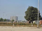 Residential Plot in Sector 117 for resale Mohali. The...
