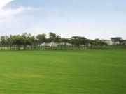 Residential Plot in Sector 133 for resale Noida. The...