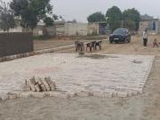 Residential Plot in Sector 150 for resale Noida Greater...