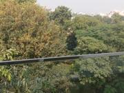 Residential Plot in Sector 23 for resale Gurgaon. The...