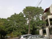 Residential Plot in Sector 41 for resale Gurgaon. The...