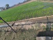 Residential Plot in Sector 50 for resale Faridabad. The...