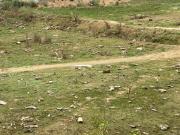 Residential Plot in Sector 65 for resale Faridabad. The...