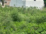 Residential Plot in Sector 65 for resale Faridabad. The...