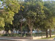 Residential Plot in Sector 84 for resale Faridabad. The...