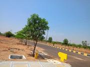 Residential Plot in Shadnagar for resale Hyderabad. The...