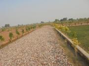 Residential Plot in Shahpura for resale NH 8 Jaipur. The...