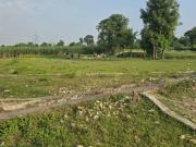 Residential Plot in Sherpur for resale Shimla Bypass...
